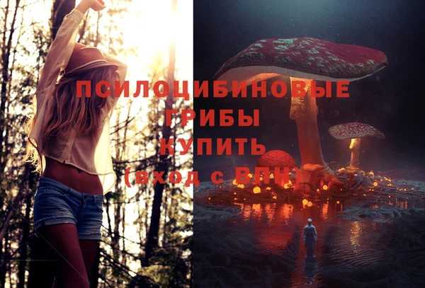 каннабис Абаза